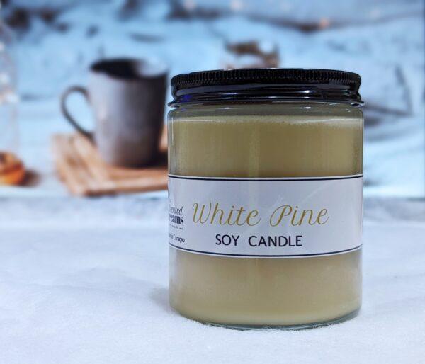 Scented Dreams - White Pine Candle